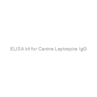 ELISA kit for Canine Leptospira IgG